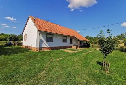 <p>Leuke woning in het wijngebied dichtbij Szigetvár.</p>